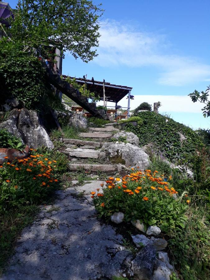 Camp Sunny Hills Hotel Virpazar Exterior photo