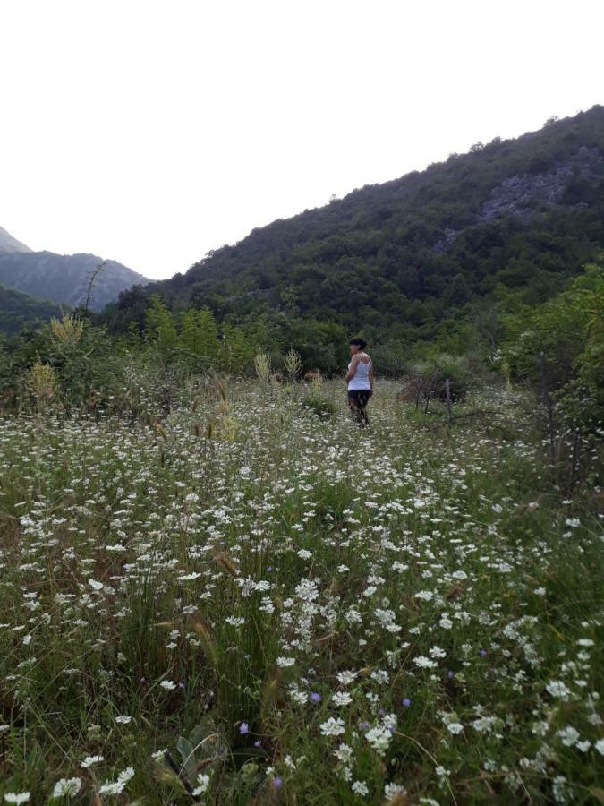 Camp Sunny Hills Hotel Virpazar Exterior photo